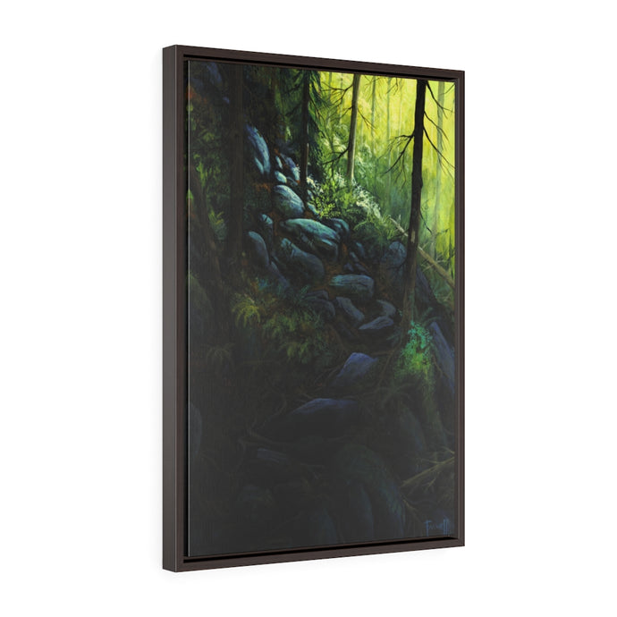 Appalachian Trail Framed Premium Gallery Wrap Canvas