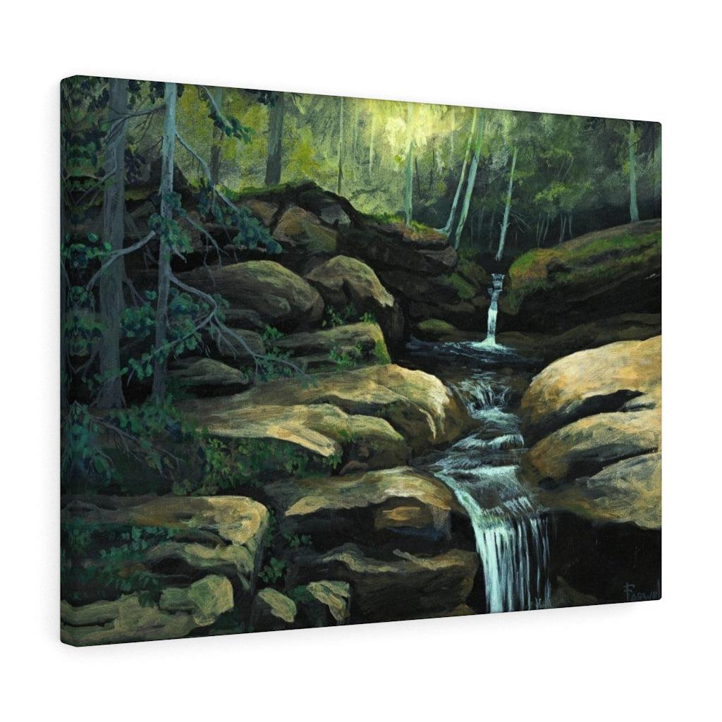 Water Crossing Canvas Gallery Wraps