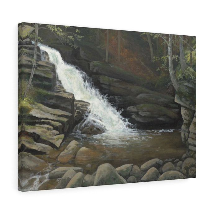 Cascade Path, Canvas Gallery Wraps