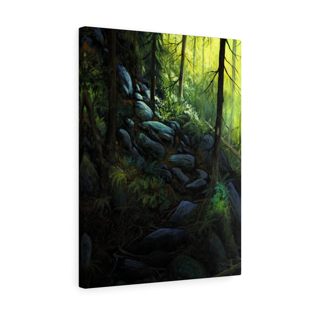 Appalachian Trail Canvas Gallery Wraps